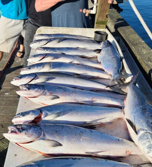 Bodega Bay fishing: where memories are made!